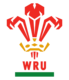 Logo of the Welsh Rugby Union. Go to the home page.